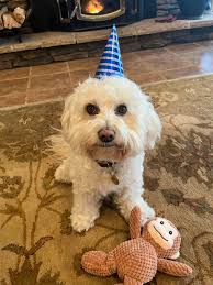 I want to thank everyone for the birthday wishes! I love you guys and I  love this group! you guys are amazing!