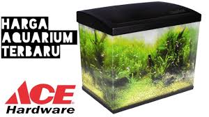 Harga paket lengkap desktop 4in1 aquarium mini fish tank running water. Harga Aquarium Model Terbaru Di Ace Hardware Depok Youtube