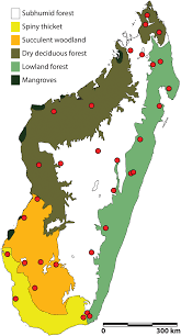 Lonely planet photos and videos. Map Of Terrestrial Ecoregions Of Madagascar Circles Indicate Download Scientific Diagram