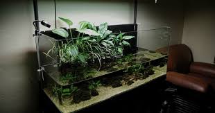 75g Riparium Thanks Riparium Supply Planted Aquarium Freshwater Aquarium Aquascape