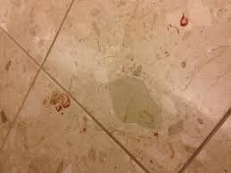Did i leave it in the cold? Blood On Bathroom Floor Picture Of Sheraton Pasadena Hotel Tripadvisor