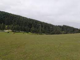 Maybe you would like to learn more about one of these? Kunduz Yaylasi Samsun Vezirkopru Dogadaki Yabanci