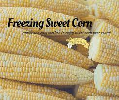 We did not find results for: Freezing Sweet Corn