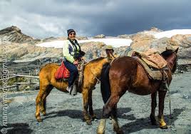 Get code examples like converting a string into camel case php instantly right from your google search results with the grepper chrome extension. Horse Ride On Pastoruri Huaraz Peru 5000 Meters Altitud Horses Horse Riding Places To Travel