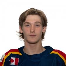 New Hamburg Firebirds @ Wellesley Applejacks Saturday, January 13, 2024