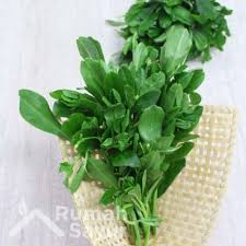 Bunga, bunga, bunga, bunga poppy merah muda dengan latar belakang biru, merangkai bunga, cabang png. Rumah Sayur Jakarta Utara Daun Ginseng 250 Gram Terbaru Agustus 2021 Harga Murah Kualitas Terjamin Blibli