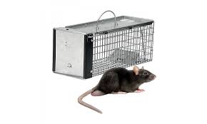 By david on december 30, 2016 in pest control. Single Catch Rat Trap Humane Foot Plate Activated Buy Online