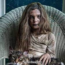 instagram da dizi film 2019 un en iyi 10 korku filmi 1 hayvan mezarligi 2 biz 3 saklambac 4 o ikinci bolum 5 kuyu 6 velvet buzzsaw 7 dag evi