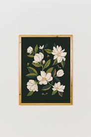 Image result for Magnolia White 1980 Amos and Sons