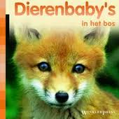 Dierenbaby's in het bos