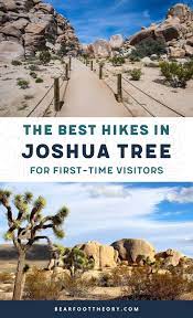 Best Joshua Tree Hikes For First Time Visitors In 2021 Joshua Tree Hikes Trip To Grand Canyon Hiking Trip