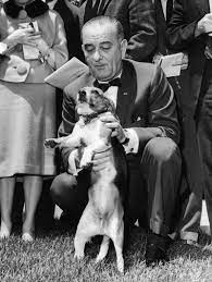 Messages from walter jenkins or the office staff signed wj or os. Lyndon B Johnson Beagles Cheap Online