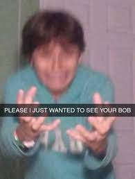 Sometimes meme humor can be absurd or patently nonsensical. Please I Just Wanted To See Your Bob Reactions Meme Memes Reactions