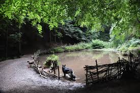 May 01, 2017 · 1. Paradise Bottom Bristol Dog Walk Outdoor Paws Bristol