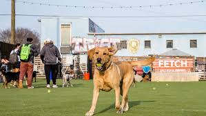 We did not find results for: Dog Friendly Fun In Metro Atlanta 5 Ideas For Where To Take Your Dog