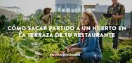 Resultado de imagen para cuanto tiempo huerto restaurante