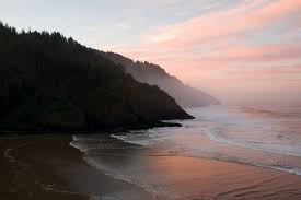 Best Viewpoints On The Central Oregon Coast Oregon Coast Hikes Oregon Coast Oregon Beaches