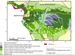 Image result for Orthopichonia barteri