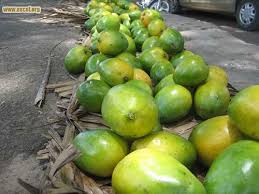 Mangue De Mayotte Fruits Et Legumes Fruits Mayotte Island