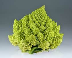 The closer the spacing, the smaller the curds, so it's really up to you how far or near you plant. Romanesco Broccoli Wikipedia
