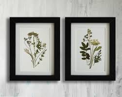 Framed Set Of 2 Herbarium Botanical Prints Artworks Real Pressed Flowers Modern Wall Art Dry Flower Decor Unique Art Set Framed Wall Art Framed Botanical Prints Pressed Flower Art Pressed Flower
