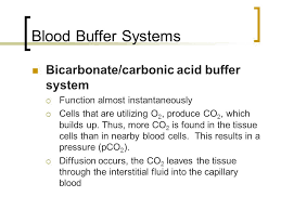 Mlab 2401 Clinical Chemistry Keri Brophy Martinez Ppt Video Online Download