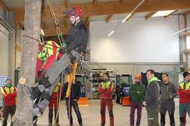 Unsere Baumpfleger Lernen Was Im Notfall Zu Tun Ist Wie Seilen Sie Sich Oder Kameraden Bei Unfallen Vom Baum Ab Dazu Theorie Und Praxis Workshop Gartentipps