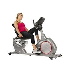Replacement seat part confidence fitness magnetic recumbent exercise bike. Sunny Health Fitness Magnetic Recumbent Exercise Bike Self Powered Cycling For Usb Charging Function With Easy Adjustable Seat And Device Holder Sf Rb4880 Shefinds