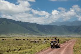 Ngorongoro Crater - 2D/1N gallery 3