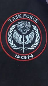 Service Generale Nationale Securite Surete Prevention Agence De Securite Surete Agent De Securite