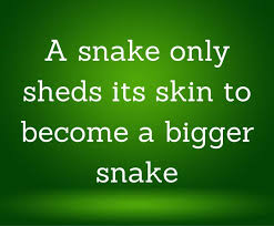 Scott Tornio on LinkedIn: “A snake only ...