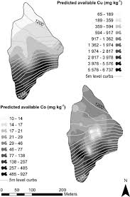 Image result for Tristachya bequaertii