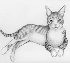 Cat Doodle 40 Twobit Adopted 10 000 Bad Drawings Keep it simple and shaped into or around the face for additional cuteness. cat doodle 40 twobit adopted 10