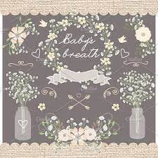 Vector Baby Breath Clip Arts Babys Breath Wedding Clipart Drawing Clipart