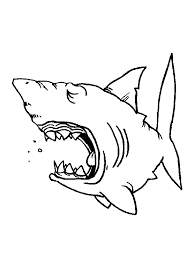 You can use our amazing online tool to color and edit the following great white shark coloring pages. Shark 14773 Animals Printable Coloring Pages