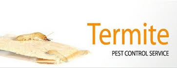 We aim at making each house our efficient and trained team provides the best pest control in gurgaon by offering swift and quick service to the clients. Termite Pest Control Services In Noida By Fast Care India Pest Control Private Limited Id 8773794455