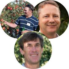 Rural Professionals Fund 2020–21