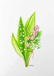 Check spelling or type a new query. Lily Of The Valley And Hawthorn Flowers May Birthday Flower Etsy