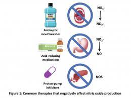 Are You Nitric Oxide Deficient Part 1 Of 2 Clinical Education