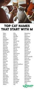 Looking for female cat names? 21 Cats Ideas Cats Kitten Names Cat Names
