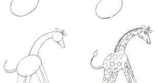 Kumpulan gambar hitam putih bw untuk diwarnai freewaremini. Contoh Gambar Ilustrasi Hewan Hitam Putih Menggambar Ilustrasi Hewan Dan Kehidapannya Mikirbae Com Tips Dan Trik Tutorial Me Ilustrasi Hewan Ilustrasi Gambar
