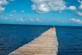 Esperanza is quite drought tolerant once plants have had time to get established. Puerto Esperanza Cuba