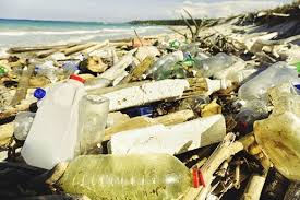 In South America Plastic Trash Will Be As Good As Money South America Save Our Earth Science And Nature