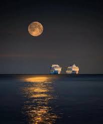The following moonlight romance 1 with english sub has видео канала azmi21, ( 193 видео ). Muhammad Shafwan Chief Officer Wilmar Sugar Australia Limited Linkedin
