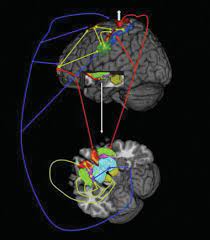 Motor Circuits Hypothesized To Generate Or Control Tics In Tourette Download Scientific Diagram