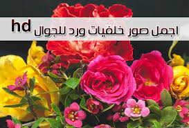 اشتهيك وطنا كلما ضاقت بي الأرض ارحل إليك اشتهيك روحا لتكون معي دائما في ذلك الوطن اشتهيك قلبا ل نموت معا اشتهيك كل شيء لتكن معي في كل شيء. ØªØµÙˆÙŠØ± Ù‡Ø§ØªÙ Ù†ØµÙŠØ­Ø© Ø§Ø±ÙˆØ¹ ØµÙˆØ± Ø§Ù„ÙˆØ±Ø¯ Cncsteelfabrication Com