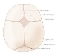 You can read more in left occiput anterior | what it means when baby is loa. Mechanics Of Childbirth Amboss