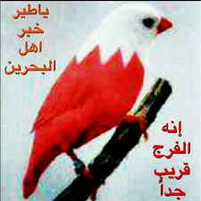 أجمل ما قيل من شعر عن دولة البحرين موقع نظرتي