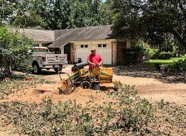 Maybe you would like to learn more about one of these? Stump Grinding Valerio S Tree Services More