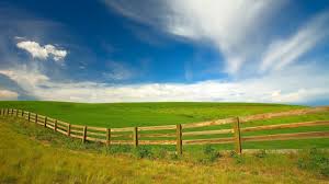 World Beautiful Field Wallpaper Free Background Photos Beautiful Wallpapers